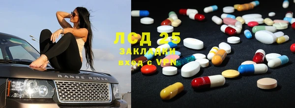 гашик Аркадак