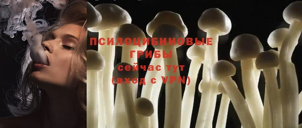 гашик Аркадак