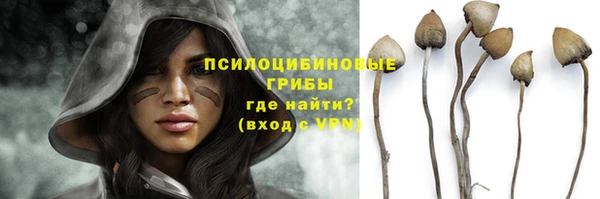 гашик Аркадак
