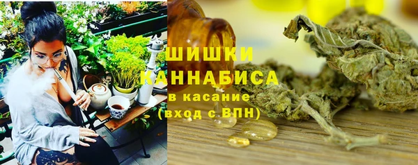 гашик Аркадак