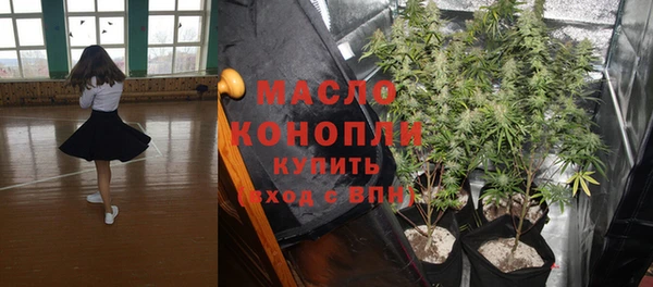 гашик Аркадак