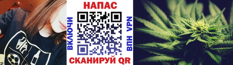 Марихуана планчик  mega ссылки  Малгобек 